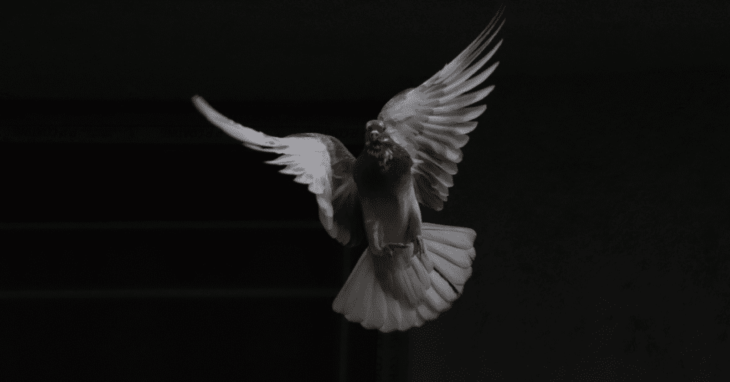 worship songs about the Holy Spirit